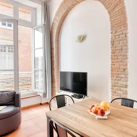 Duplex 5a - Vue Sur Place Du Capitole *