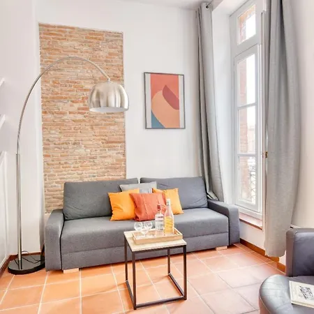 Duplex 5a - Vue Sur Place Du Capitole Toulouse